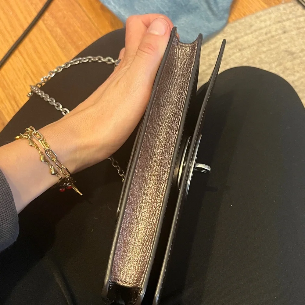 Metallic Silver / Bronze Bayswater Clutch Wallet on Chain - Picture 6 of 12